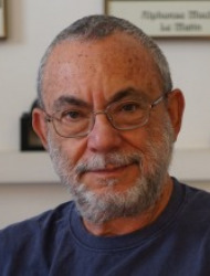 David Avnir