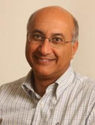 Prof. Shlomo Magdassi