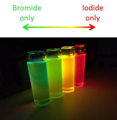 Emission from hybrid perovskite nanorods
