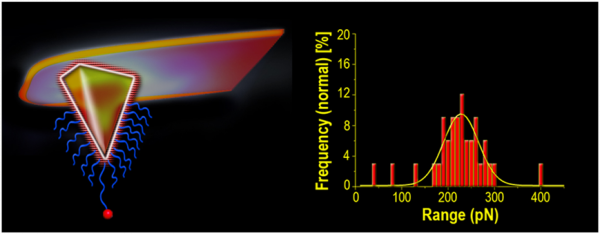 The schematic