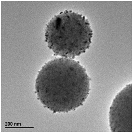TEM image of PMO nanoparticles