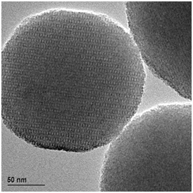 TEM image of Runanoparticles supported on PMO nanoparticles