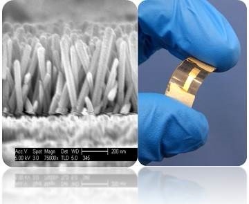 Flexible perovskite solar cell