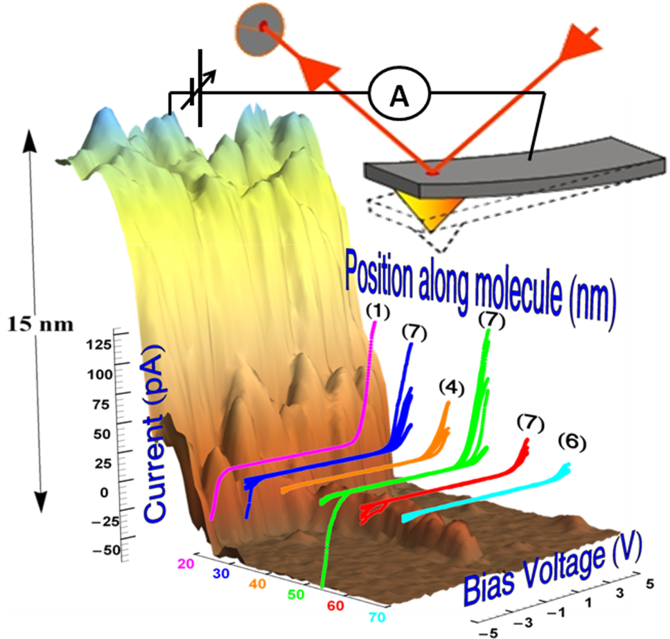 quadruplex_DNA