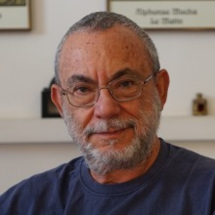 David Avnir