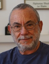 David Avnir