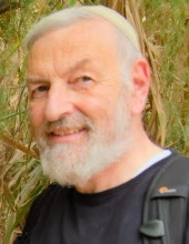 roy hoffman